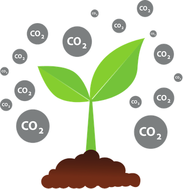 Carbon Contribution Icon