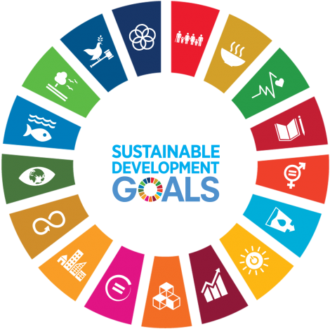 SDGs Alignment Icon